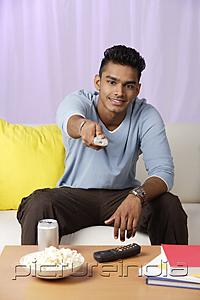 PictureIndia - young man with television remote