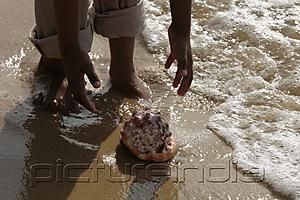 PictureIndia - Cropped shot of boy picking up sea shell on the sand