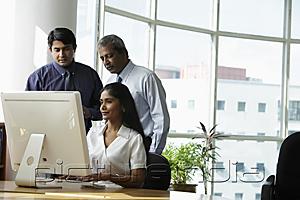 PictureIndia - Indian business people looking at a computer