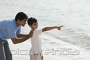 PictureIndia - Father and son looking at the ocean.