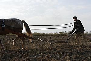 Mind Body Soul - Man with horse-drawn plow