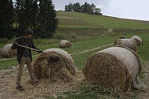 Mind Body Soul - man making hay stacks