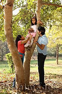 Asia Images Group - Family at park, daughter up tree