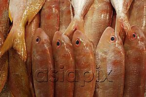 AsiaPix - Fish at market