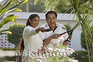 Asia Images Group - couple gardening