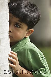 Asia Images Group - Little boy peaking up side of tree trunk