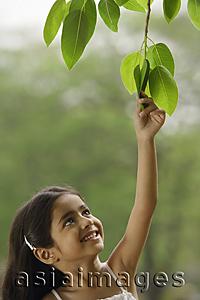 Asia Images Group - little girl reaching for tree leaf