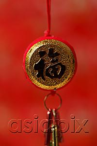 AsiaPix - Chinese New Year decoration. Chinese character meaning good fortune.