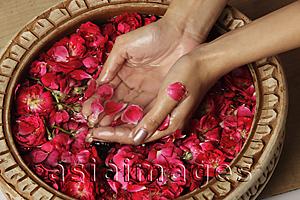 Asia Images Group - Woman cupping rose petals and rose water