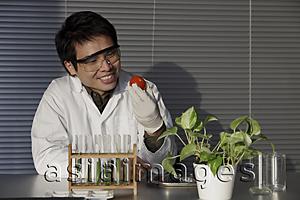 Asia Images Group - scientist looking at a tomato