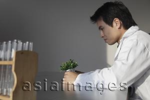 Asia Images Group - Profile of scientist looking at plant
