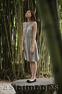 Asia Images Group - Young woman standing on a rock in bamboo forest