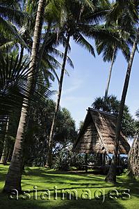 Asia Images Group - thatched hut surrounded by coconut trees, Bali