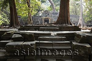 Asia Images Group - stone steps with temple in back ground, Angkor Wat