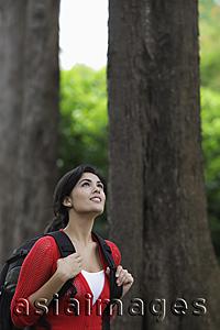 Asia Images Group - Mid shot of woman wearing back pack and looking up at trees.