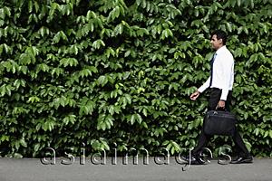 Asia Images Group - Indian man walking in front of green leafy hedge.
