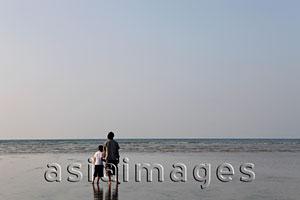 Asia Images Group - Back view of father and son holding hands and looking at the sea