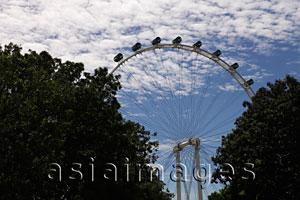 Asia Images Group - Singapore Flyer between 2 trees