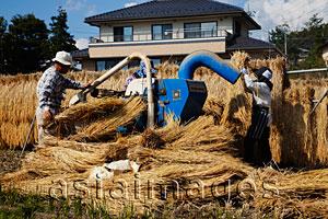Asia Images Group - People working a rice threshing machine. Japan,Nagano Prefecture