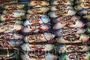 Asia Images Group - Market Display of Crabs, Bangkok, Thailand