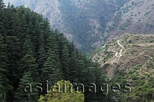 Asia Images Group - The Himalayan foothills, India