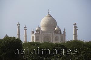 Asia Images Group - The Taj Mahal with trees in the foreground, Agra, India
