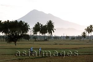 Asia Images Group - Indonesia, Sumatra, Aceh, two Muslim girls walking on rice paddies.