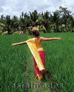 Asia Images Group - Indonesia, Bali, Balinese dancer walking through padi fields, away from camera