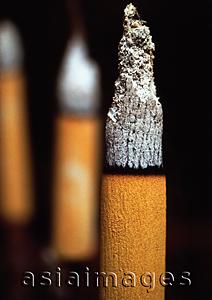 Asia Images Group - China, Hong Kong, Close-up of burning incense stick
