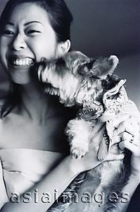 Asia Images Group - Dog kissing happy woman