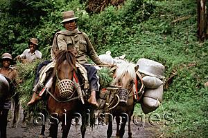 Asia Images Group - Indonesia, S. Sulawesi horsemen