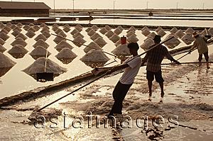 Asia Images Group - Thailand, Sea salt harvest in fields.