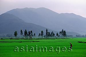 Asia Images Group - Vietnam, Qui Nho'n, Man walking across field, Troung Son Mountains in background.