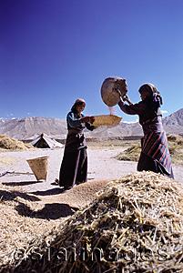 Asia Images Group - Nepal, Mustang, Women winnowing wheat