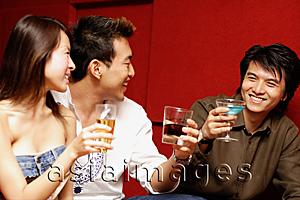 Asia Images Group - Young adults toasting with drinks