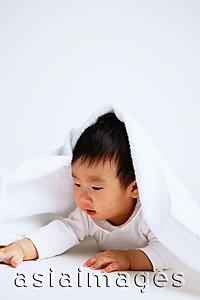Asia Images Group - Baby boy lying on front, under blanket