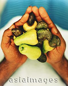 Asia Images Group - Cashew nuts in the hands of Sri Lankan male