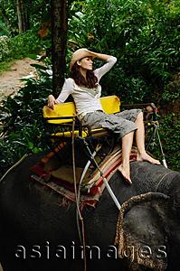 Asia Images Group - Young woman sitting on top of elephant, barefoot and wearing a hat, Phuket, Thailand
