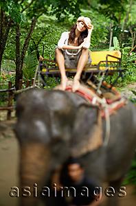 Asia Images Group - Young woman sitting on elephant, looking at camera, Phuket, Thailand