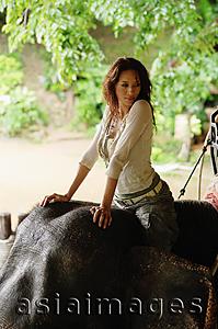 Asia Images Group - Young woman on elephant, portrait, Phuket, Thailand