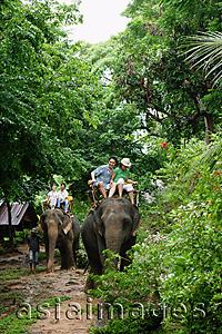 Asia Images Group - Tourists riding on elephant, Phuket, Thailand