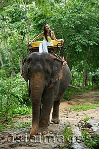 Asia Images Group - Young woman sitting on elephant, Phuket, Thailand