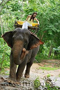 Asia Images Group - Female tourist riding elephant, Phuket, Thailand