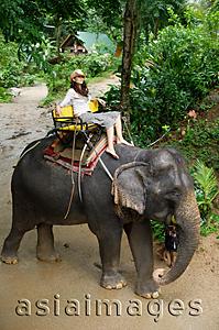 Asia Images Group - Young woman sitting on top of elephant,  Phuket, Thailand