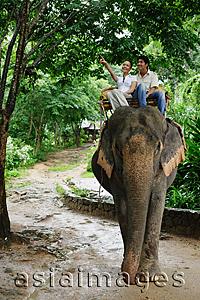 Asia Images Group - Couple riding elephant, woman pointing, Phuket, Thailand