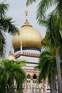 Asia Images Group - Picture of the Sultan Mosque in Singapore