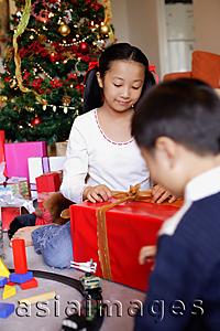 Asia Images Group - Children opening Christmas presents