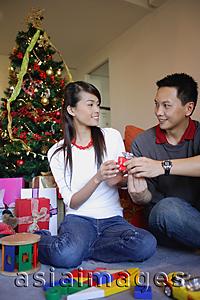 Asia Images Group - Couple giving each other gifts, Christmas tree behind them