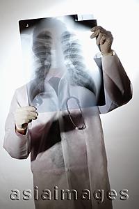 Asia Images Group - Doctor holding X-Ray