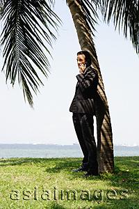 Asia Images Group - Businessman standing underneath tree, using mobile phone